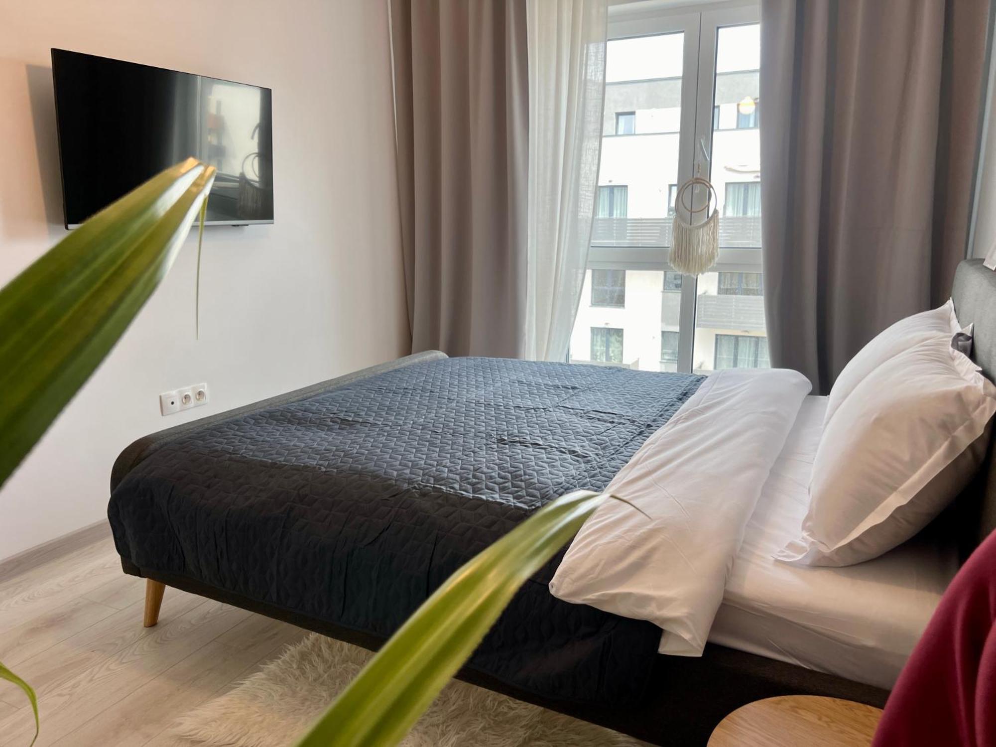 Blue Boho Studios And Apartments Brasov Bagian luar foto