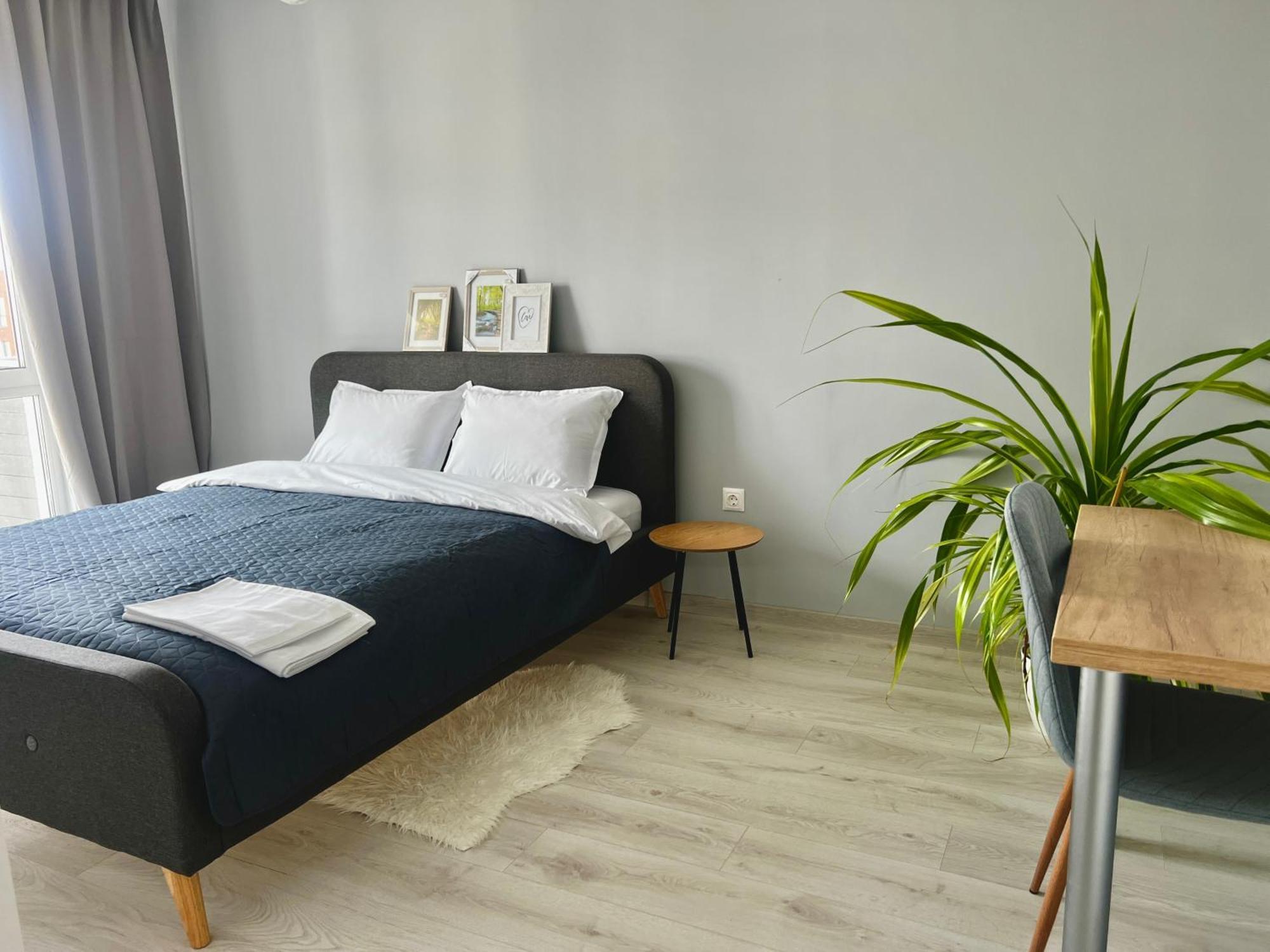 Blue Boho Studios And Apartments Brasov Bagian luar foto