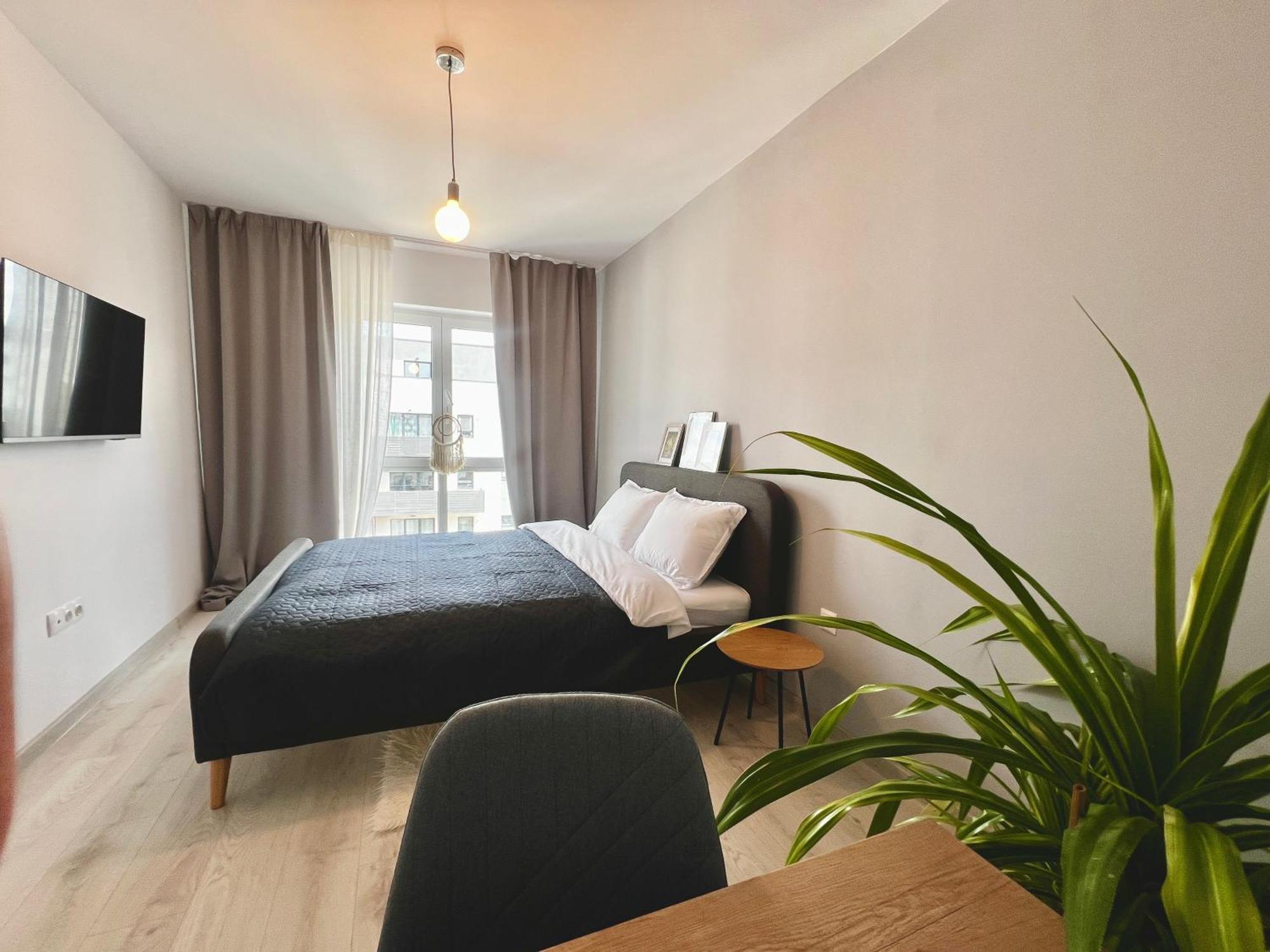 Blue Boho Studios And Apartments Brasov Bagian luar foto